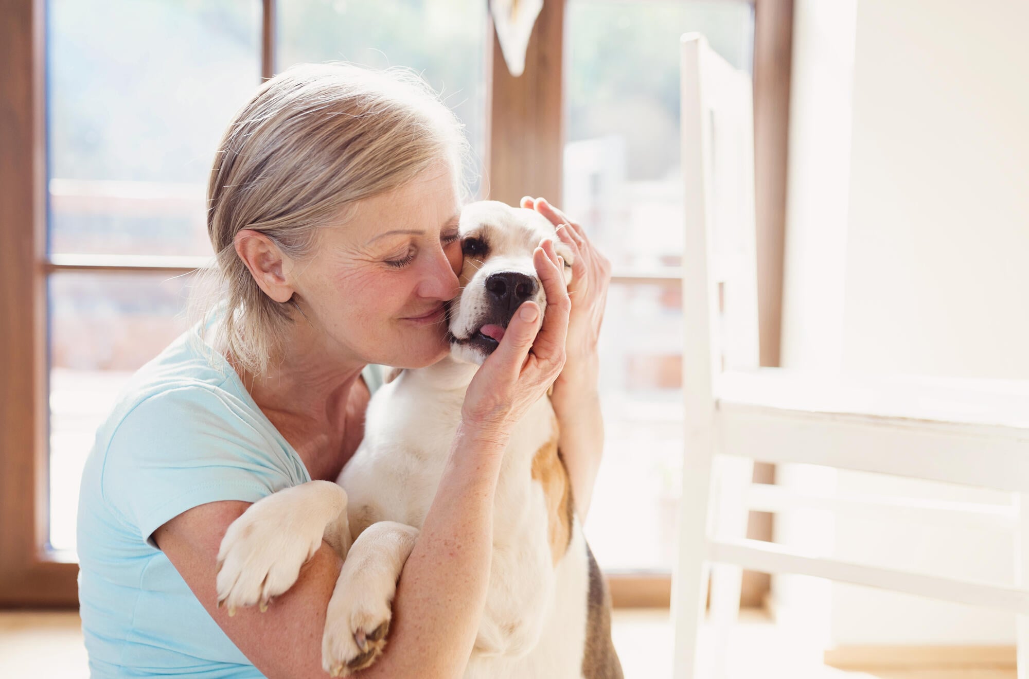 How Pet Therapy Enhances Elderly Life