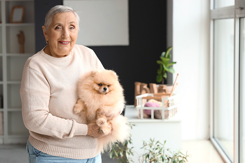 Tips For Moving Your Pets Into Assisted Living In Knoxville, TN