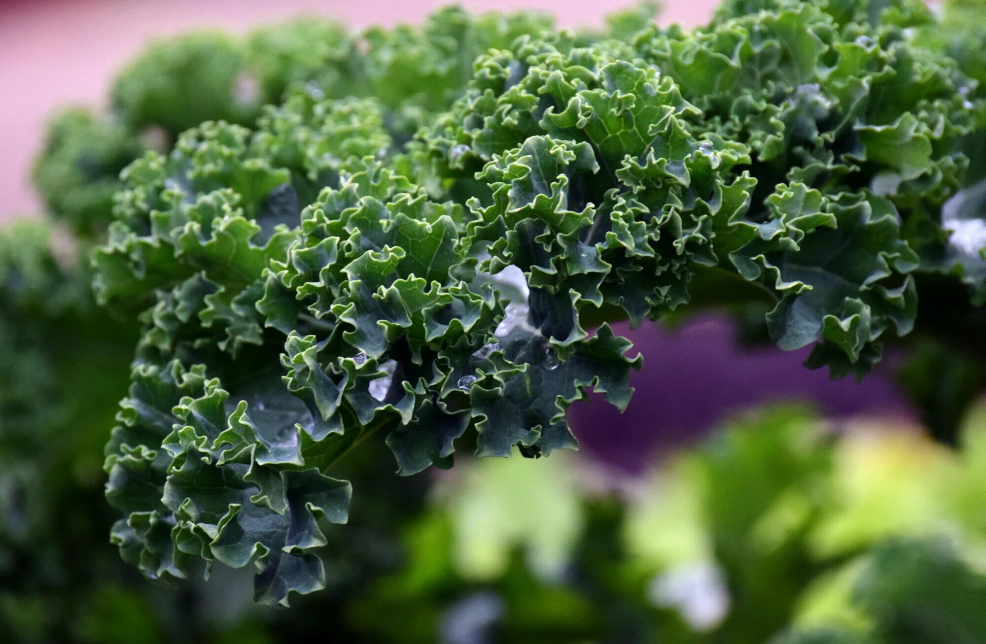 Natural Remedies for Osteoporosis: Strengthen Bones the Gentle Way